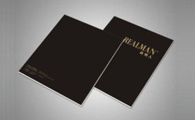 字體中國畫冊設計案例 成功案例解析與企業形象策劃的完美融合