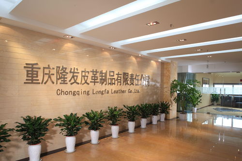 重慶隆發(fā)皮革制品有限責任公司的信息咨詢服務研究
